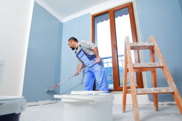 Best Water Damage & Mold Remediation  in Bethalto, IL