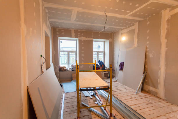 Best Real Estate Mold Inspection  in Bethalto, IL